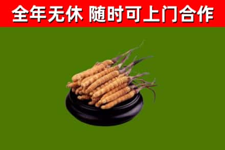 沿河烟酒回收冬虫夏草.jpg